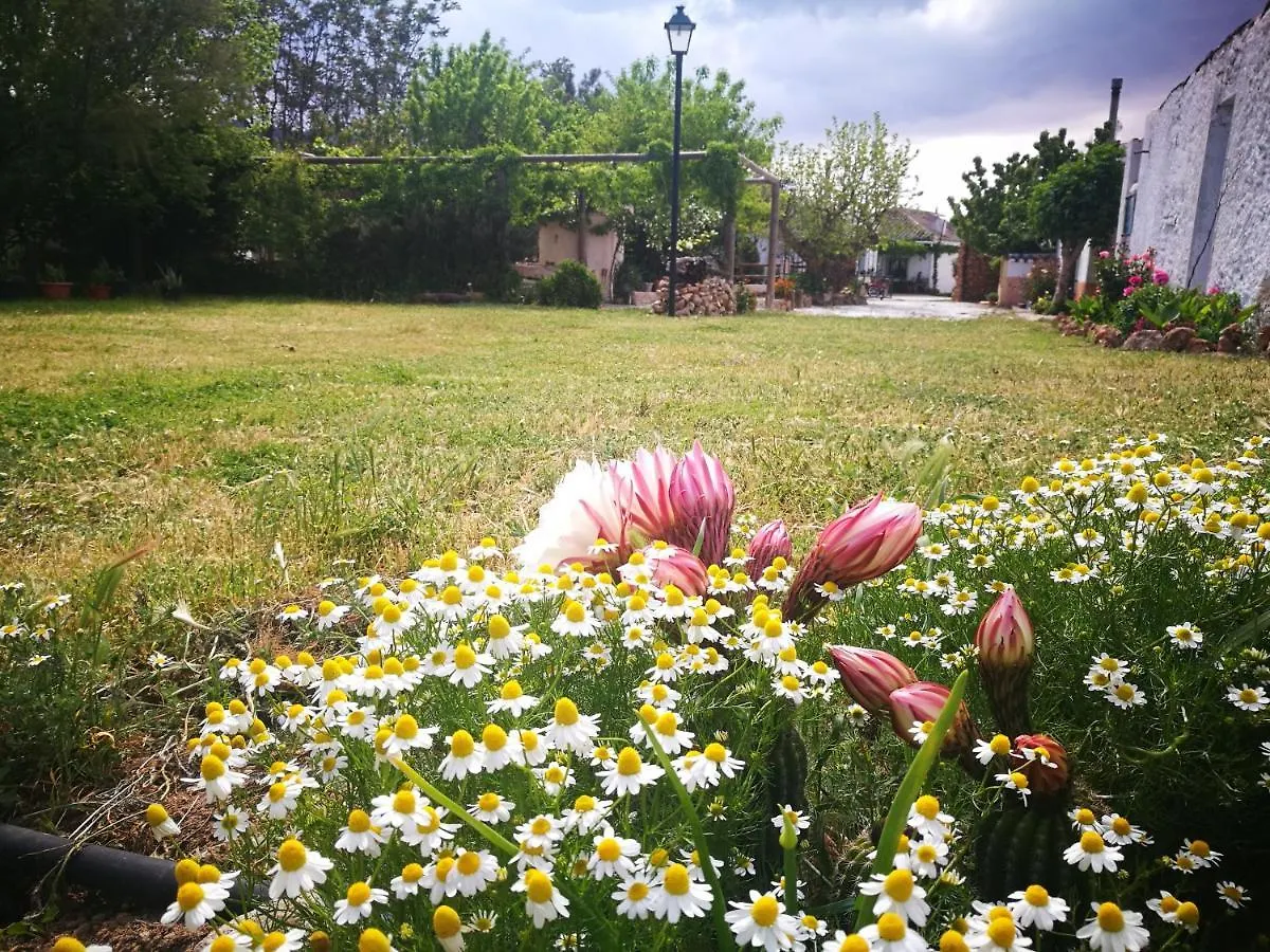 Cortijo Los Soledad Holiday home El Sauco