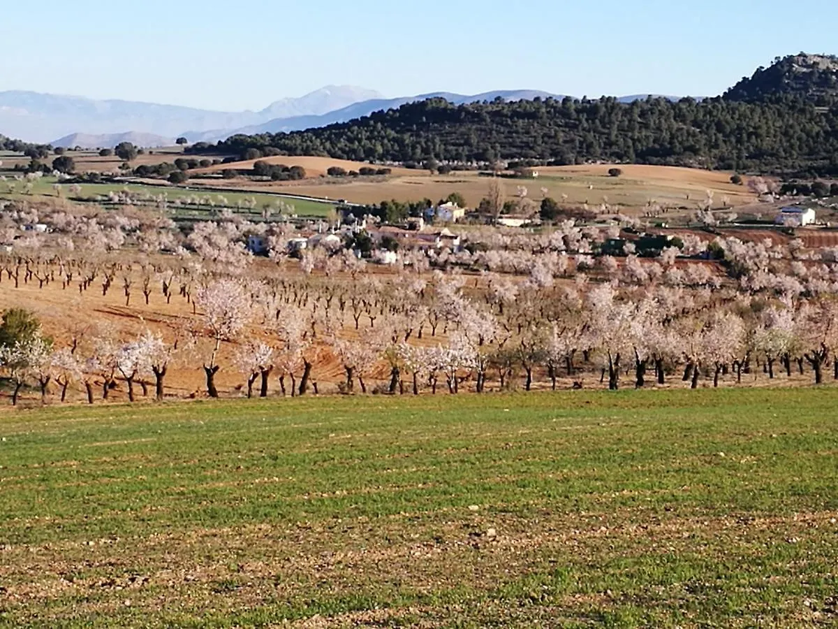 Cortijo Los Soledad Holiday home El Sauco