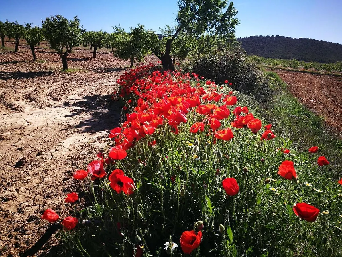 Cortijo Los Soledad Holiday home El Sauco Spain