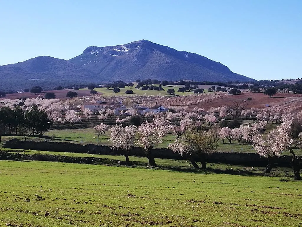 Cortijo Los Soledad Holiday home El Sauco