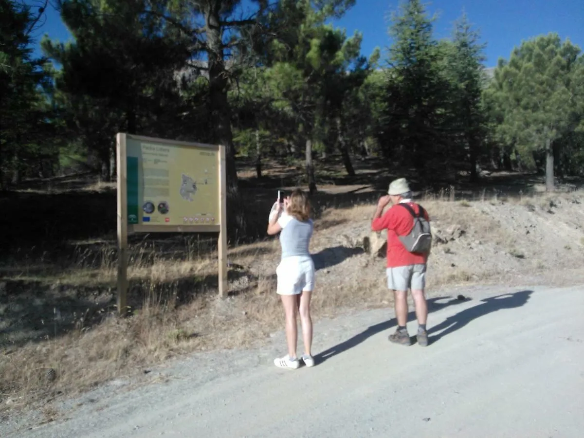 Cortijo Los Soledad Holiday home El Sauco